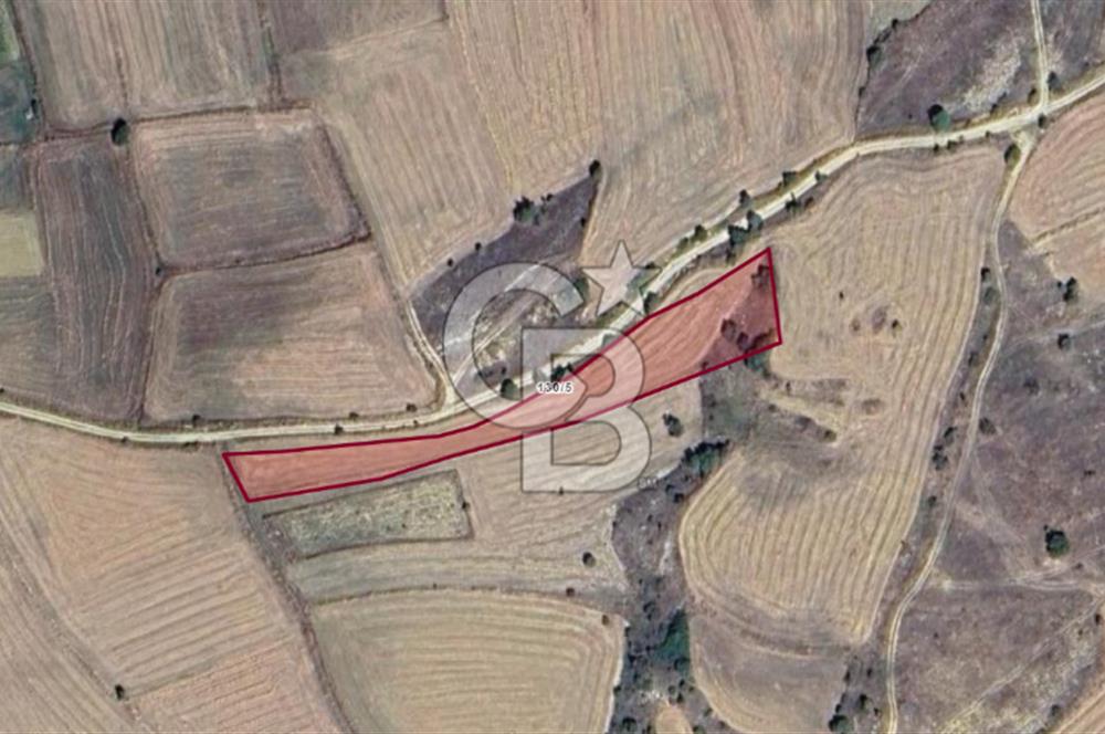 MUSELAND'DAN UŞAK'TA DÖRT DÖNÜM YATIRIMLIK KİRACILI TARLA