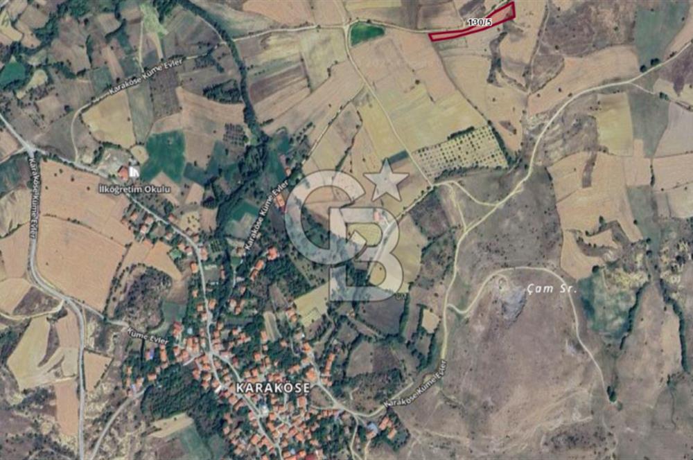 MUSELAND'DAN UŞAK'TA DÖRT DÖNÜM YATIRIMLIK KİRACILI TARLA