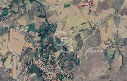 MUSELAND'DAN UŞAK'TA DÖRT DÖNÜM YATIRIMLIK KİRACILI TARLA