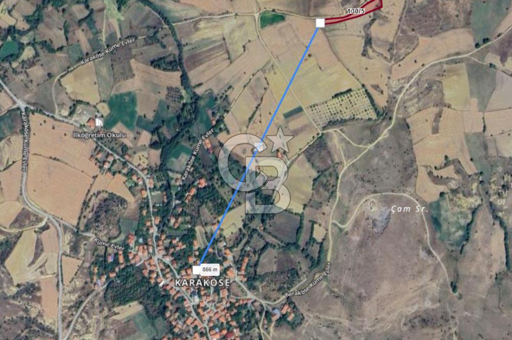 MUSELAND'DAN UŞAK'TA DÖRT DÖNÜM YATIRIMLIK KİRACILI TARLA