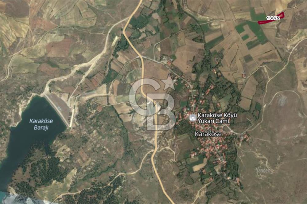 MUSELAND'DAN UŞAK'TA DÖRT DÖNÜM YATIRIMLIK KİRACILI TARLA