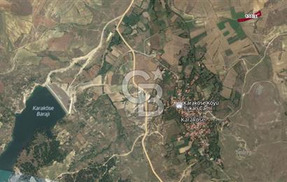 MUSELAND'DAN UŞAK'TA DÖRT DÖNÜM YATIRIMLIK KİRACILI TARLA