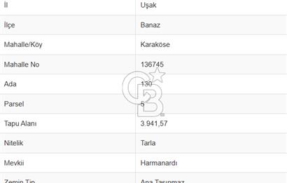 MUSELAND'DAN UŞAK'TA DÖRT DÖNÜM YATIRIMLIK KİRACILI TARLA