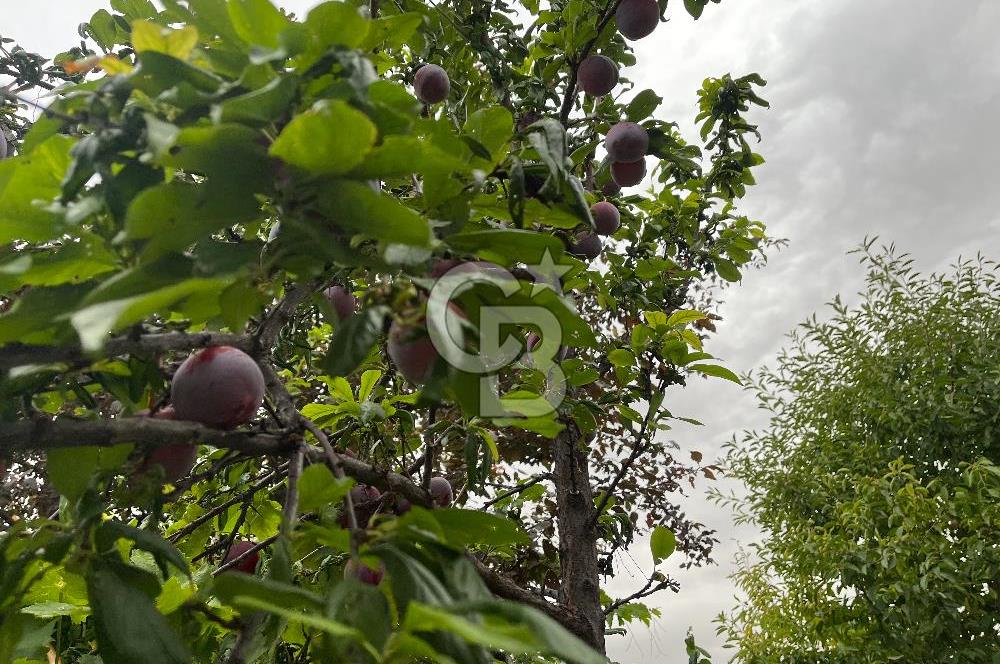 SİNCAN MALIKÖY'DE 3+1 EŞYALI DUBLEX SATILIK VİLLA