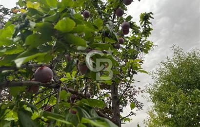 SİNCAN MALIKÖY'DE 3+1 EŞYALI DUBLEX SATILIK VİLLA