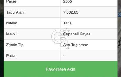ANKARA GÖLBAŞI OYACADA YOLA CEPHE 7.802 METREKARE TARLA
