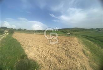 MUSELAND'DAN UŞAK'TA DÖRT DÖNÜM YATIRIMLIK KİRACILI TARLA - 2 - 318809