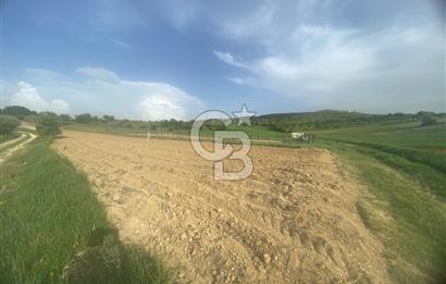 MUSELAND'DAN UŞAK'TA DÖRT DÖNÜM YATIRIMLIK KİRACILI TARLA