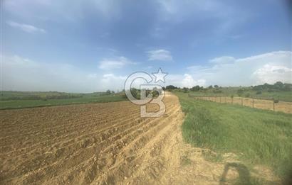 MUSELAND'DAN UŞAK'TA DÖRT DÖNÜM YATIRIMLIK KİRACILI TARLA