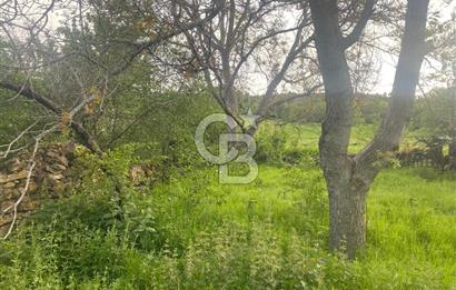 MUSELAND'DAN UŞAK'TA KÖYİÇİ İMARLI BAHÇELİ EV