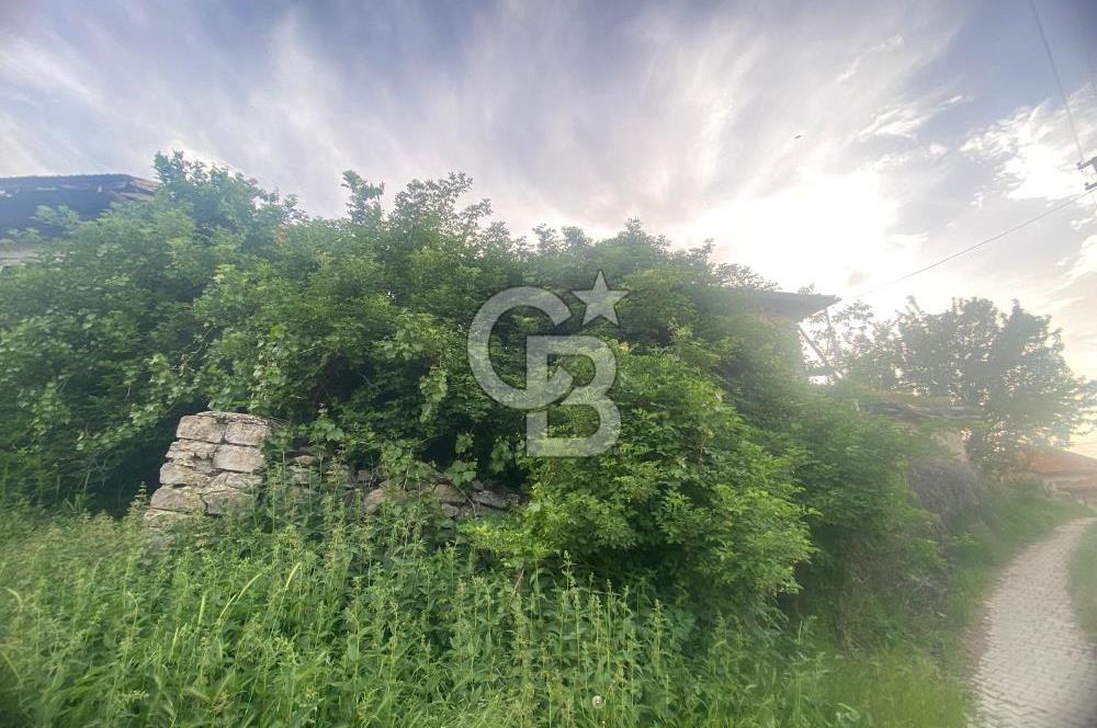 MUSELAND'DAN UŞAK'TA KÖYİÇİ İMARLI BAHÇELİ EV