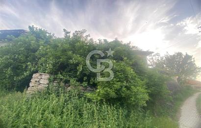 MUSELAND'DAN UŞAK'TA KÖYİÇİ İMARLI BAHÇELİ EV