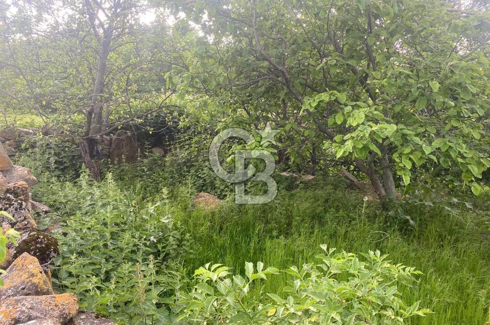 MUSELAND'DAN UŞAK'TA KÖYİÇİ İMARLI BAHÇELİ EV