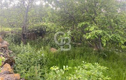 MUSELAND'DAN UŞAK'TA KÖYİÇİ İMARLI BAHÇELİ EV