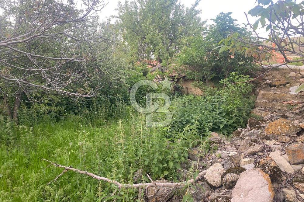 MUSELAND'DAN UŞAK'TA KÖYİÇİ İMARLI BAHÇELİ EV