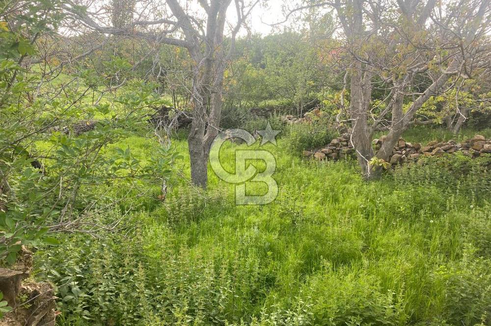 MUSELAND'DAN UŞAK'TA KÖYİÇİ İMARLI BAHÇELİ EV