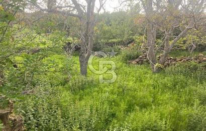 MUSELAND'DAN UŞAK'TA KÖYİÇİ İMARLI BAHÇELİ EV