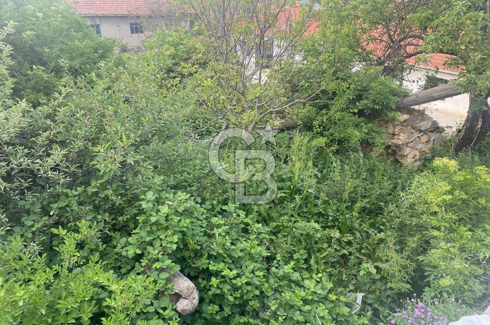 MUSELAND'DAN UŞAK'TA KÖYİÇİ İMARLI BAHÇELİ EV