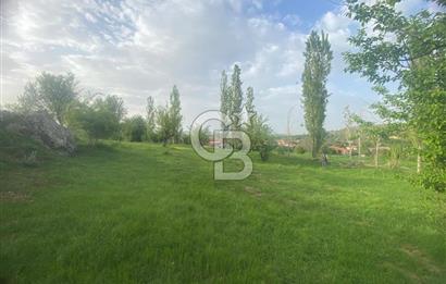 MUSELAND'DAN UŞAK'TA DÖRT DÖNÜM ELMA BAHÇESİ