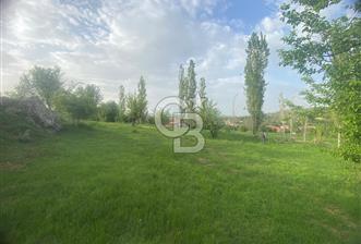 MUSELAND'DAN UŞAK'TA DÖRT DÖNÜM ELMA BAHÇESİ - 1 - 318824