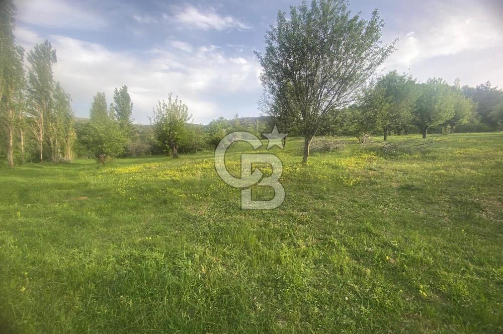 MUSELAND'DAN UŞAK'TA DÖRT DÖNÜM ELMA BAHÇESİ