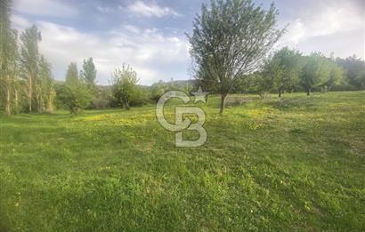 MUSELAND'DAN UŞAK'TA DÖRT DÖNÜM ELMA BAHÇESİ