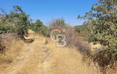 manisa kula satılık tarla