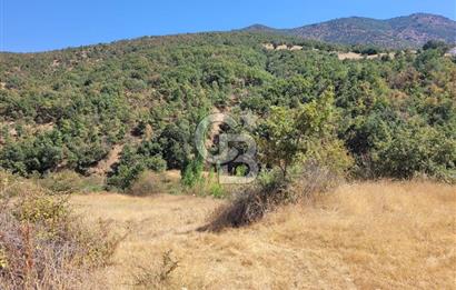 manisa kula satılık tarla