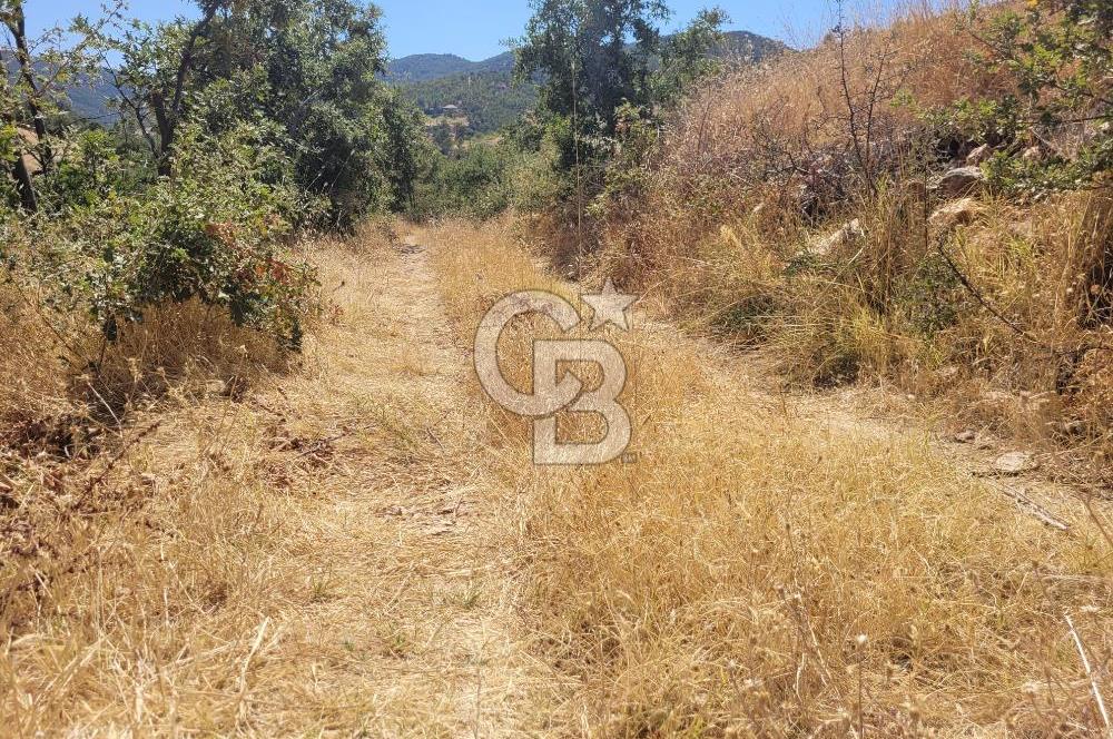 manisa kula satılık tarla