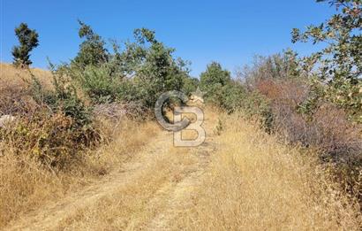 manisa kula satılık tarla