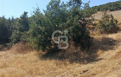 manisa kula satılık tarla