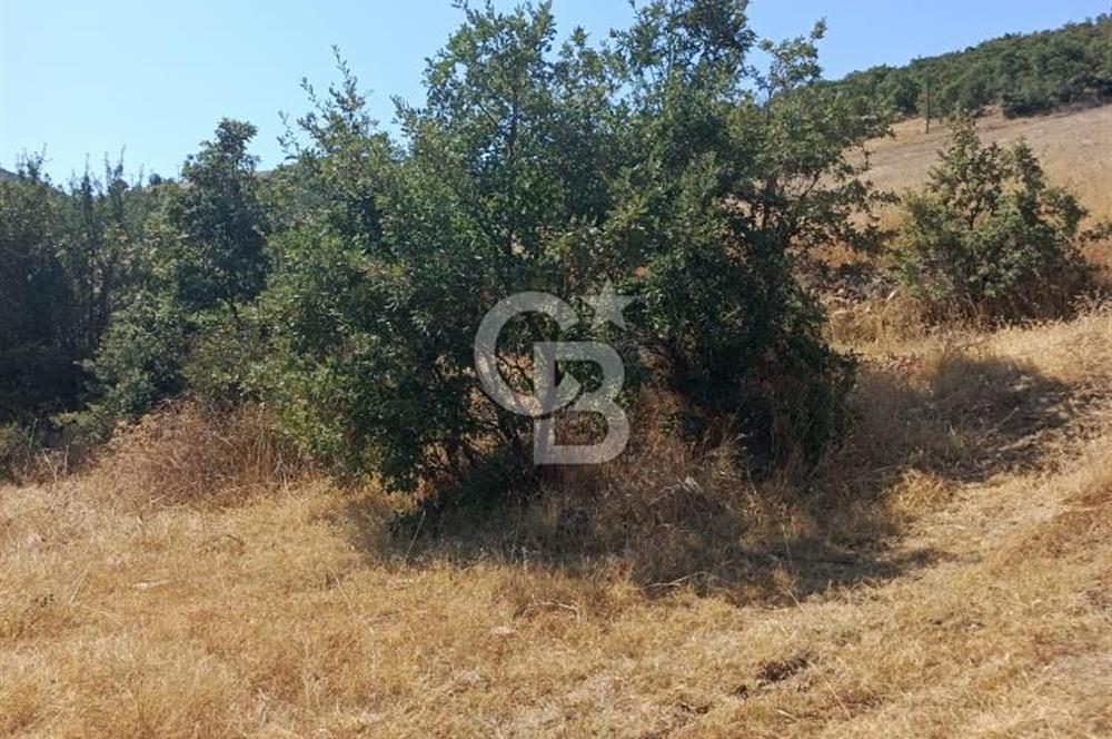 manisa kula satılık tarla