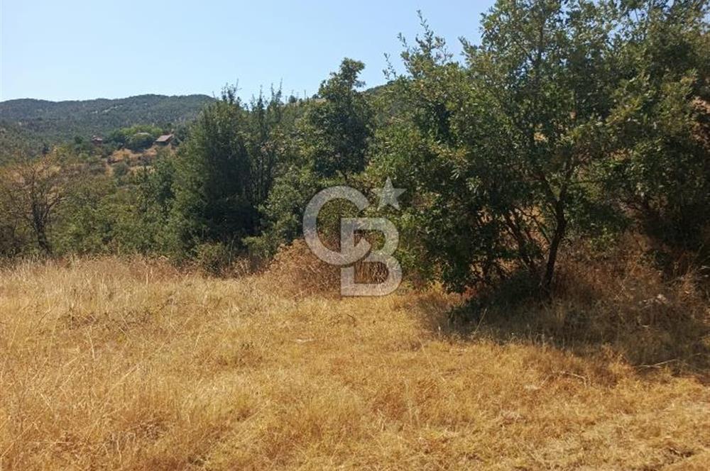 manisa kula satılık tarla