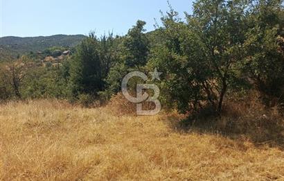 manisa kula satılık tarla