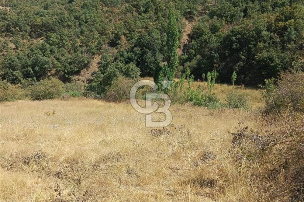 manisa kula satılık tarla