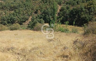 manisa kula satılık tarla