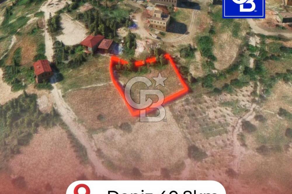 Mersin'in Tarsus Karakutuk Köyünde Satılık Tarla