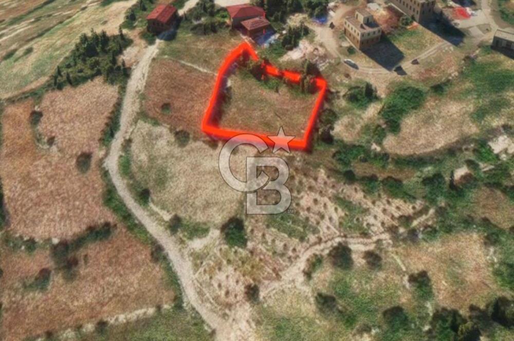 Mersin'in Tarsus Karakutuk Köyünde Satılık Tarla