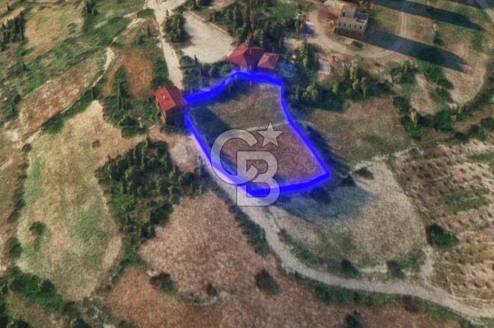 SATILIK TARLA – Mersin/Tarsus Karakütük Köyü, Karakutukonu Mevkii