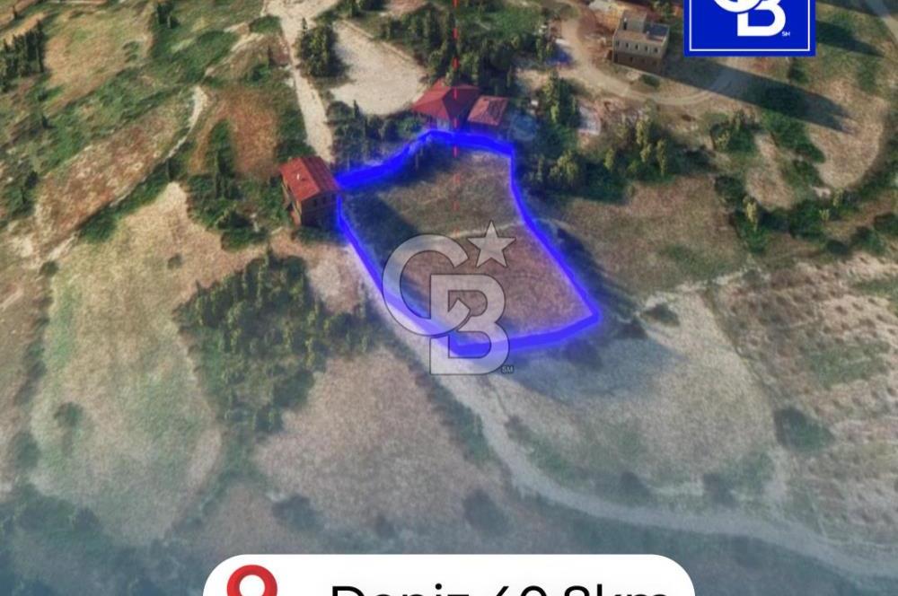 Mersin/Tarsus/Karakutuk Koyu/Karakutukonu Mevkii Satilik Tarla