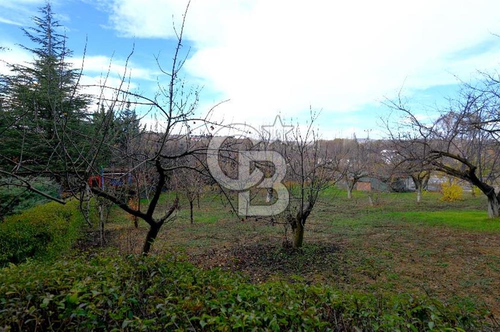 Pursaklar Yeşilyurt'ta Geniş Peyzajlı 3+1 Villa