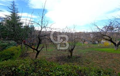 Pursaklar Yeşilyurt'ta Geniş Peyzajlı 3+1 Villa