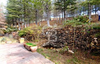 Pursaklar Yeşilyurt'ta Geniş Peyzajlı 3+1 Villa