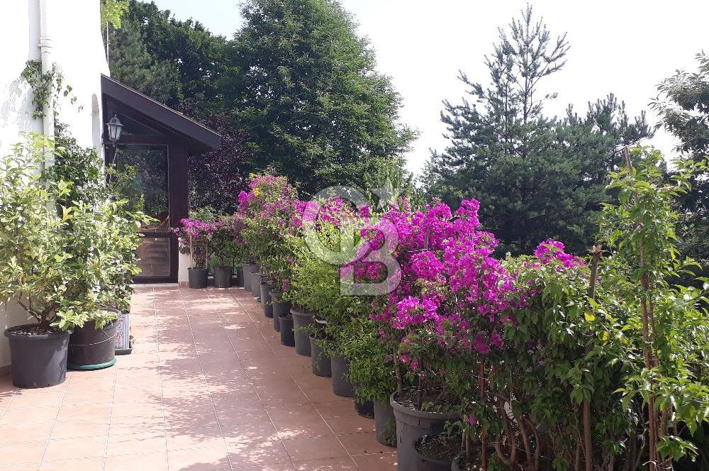 Sapanca Mahmudiye'de Eşyalı, Eşsiz Manzaralı Villa