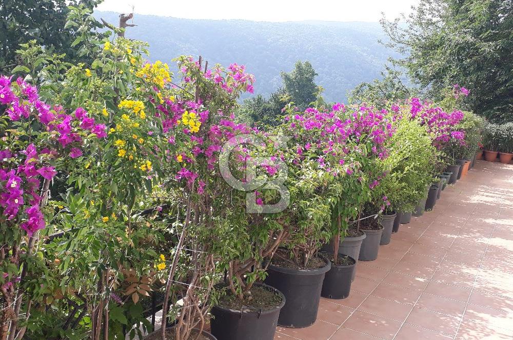Sapanca Mahmudiye'de Eşyalı, Eşsiz Manzaralı Villa