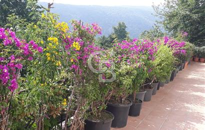 Sapanca Mahmudiye'de Eşyalı, Eşsiz Manzaralı Villa