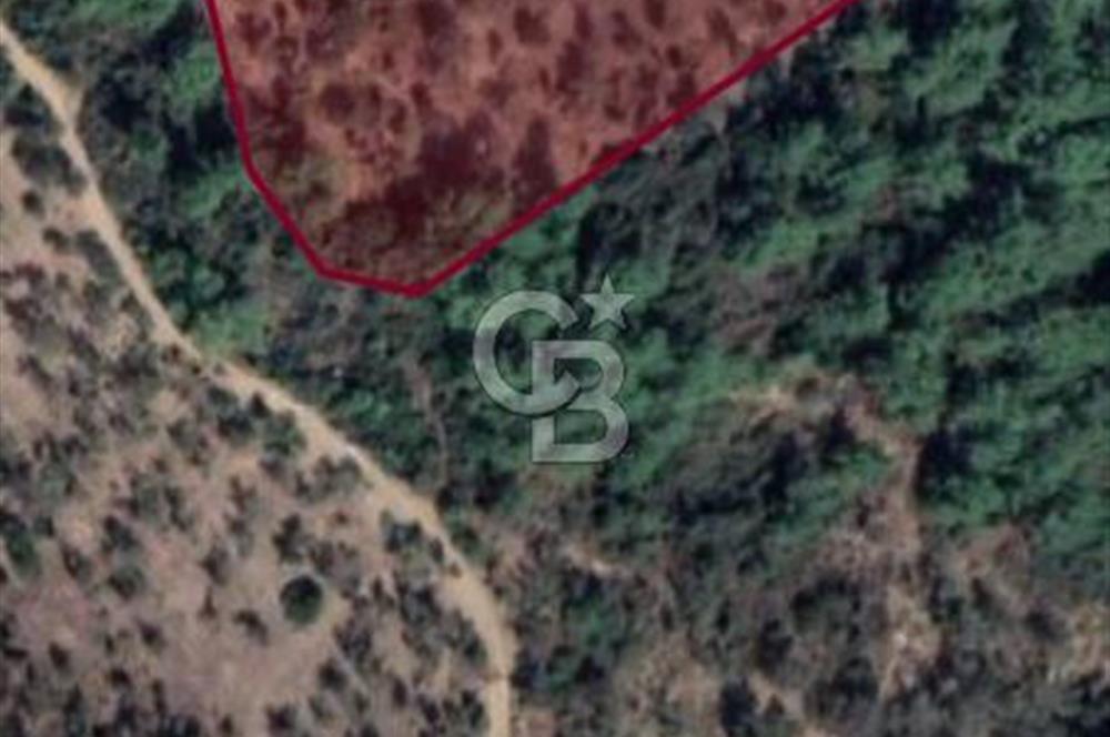 SEFERİHİSAR ORHANLIDA KÖYE 500 METRE TEK TAPU 8.430.00 M2 TARLA 