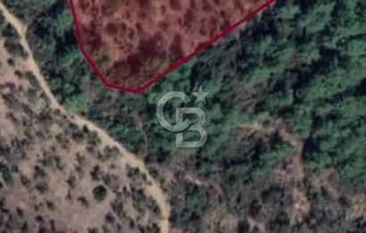 SEFERİHİSAR ORHANLIDA KÖYE 500 METRE TEK TAPU 8.430.00 M2 TARLA 