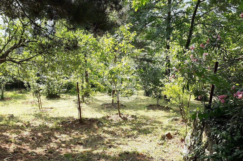 Sapanca Mahmudiye'de Eşyalı, Eşsiz Manzaralı Villa