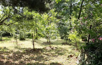 Sapanca Mahmudiye'de Eşyalı, Eşsiz Manzaralı Villa